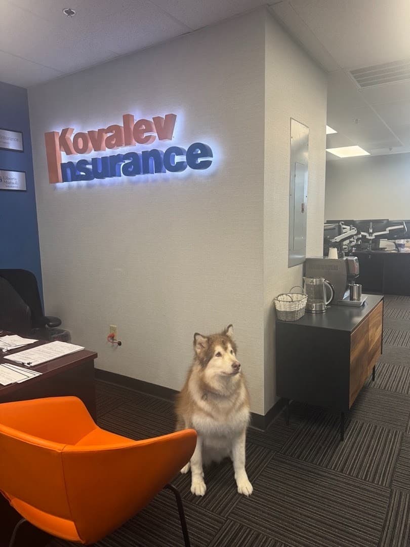Kovalev Insurance Agency, Inc — Commercial insurance brokers photo 1 of 4